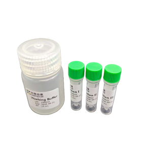 Kit Gel SDS-PAGE Siap Pakai |   Sistem Elektroforesis Gel Protein Pracetak - Product Image 2