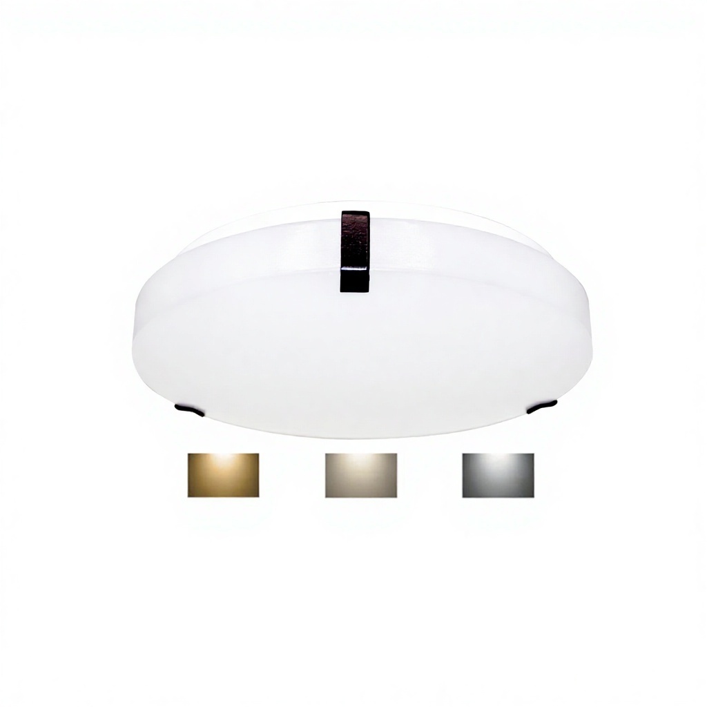 Cross-border Hot Sale 12 Inch 14 Inch Drum Shaped LED Ceiling Lamp Three Color Temperature Dimmable ETL Certification Modern