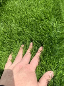 Césped Artificial Sintético para Exteriores, Alfombra Verde Realista para Jardín - Product Image 4