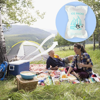 Sac isotherme tendance personnalisé, mini, réutilisable, en PE, 15L, étanche, avec fermeture éclair, pour aliments et glaçons, idéal pour congélateur et gel réfrigérant.
