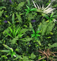 Vente en gros plastique feuilles vertes gazon panneaux muraux de jardin artificiel pour décoration verticale de jardin