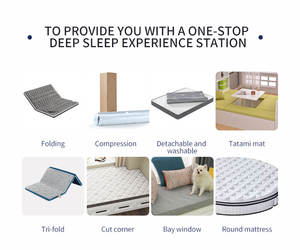 Sıcak satış kraliçe yaylı şilte bağımsız çanta sıkıştırma rulo at saç yatak bellek sünger otel lateks yatak - Product Image 6