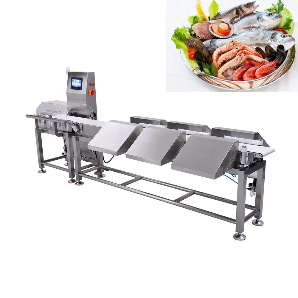 Multi Level High Accuracy Check Weigher Machine Food Shrimp Weight Grading Machine With Custom Software