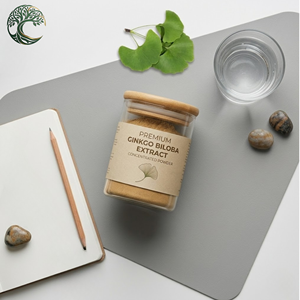 Estratto di Ginkgo Biloba di Alta Qualità, Integratore a Base di Erbe, 24% Flavonoidi, 6% Lactone in Polvere, Coltivazione Artificiale Garantita - Product Image 4