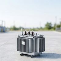 Transformateur de distribution de puissance triphasé immergé dans l'huile 800 KVA 1000 KVA 11/15 KV 50/60Hz S11 Hongda Aluminium/Cuivre