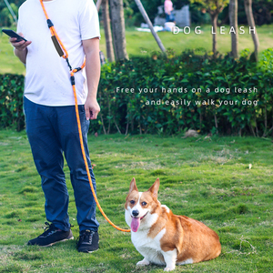 Laisse de course mains libres pour animaux de compagnie, double laisse en nylon pour 2 chiens, chaîne de promenade pour animaux, fournitures pour animaux de compagnie en gros - Product Image 1