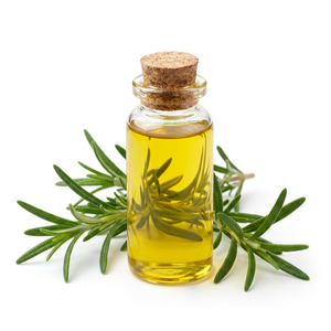Aceite de Romero 100% puro, suministro de la India - Product Image 1