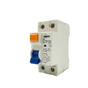 Goede Kwaliteit Nieuwe Type 2 Pole Rcd Breker Elektromagnetische Rccb Mcb 6a-125a Magnetische Lekkage Stroomonderbrekers