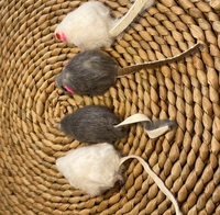 Jouet pour chat en peluche interactif en forme de petite souris mignonne, queue en fourrure de lapin, vente chaude