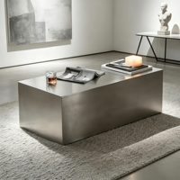 Ensemble de table basse et canapé en acier inoxydable minimaliste moderne pour la maison, salon, petits appartements, pas d'assemblage requis, modèle