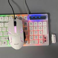 Nouveau clavier et souris de jeu USB filaire économique transparent 2025 à 104 touches avec rétroéclairage LED, plug and play