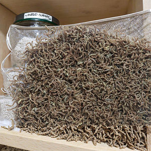 Direct van de fabrikant: Nieuwe, hoogwaardige gevriesdroogde bloedwormen in pelletvorm, 1-2 cm, rood, 100% natuurlijk eiwit, visvoer voor een glanzende vacht. - Product Image 6