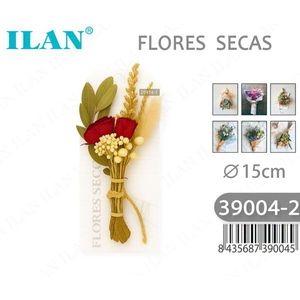 Bouquet di Fiori Secchi ILAN 15cm, Composizione Decorativa - Product Image 1
