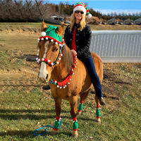 Jambières de cheval de Noël et du Nouvel An Ensemble de 4 pièces Matériau en feutre Protection hivernale écologique Livraison immédiate