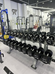 2025 nuevo estilo martillo gimnasio Fitness levantamiento de pesas entrenamiento de fuerza Q235 tubo de acero galvanizado estante con mancuernas de dos niveles a la venta - Product Image 3
