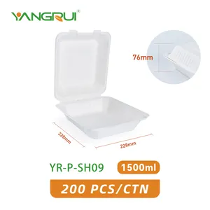 Take Out Food Containers With Clamshell Hinged Lid 100% Compostable Biodegradable Sugarcane Bagasse Food Container