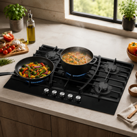 Nouvelle arrivée : cuisinière à gaz naturel intégrée à 5 brûleurs avec dessus en verre, allumage électronique, haute efficacité, cuisinière de cuisine