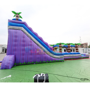 Giant outdoor bounce <b>house</b> commercial tobogan acuatico hinchable tropical <b>inflatable</b> double water slide with splash pool - Product Image 3