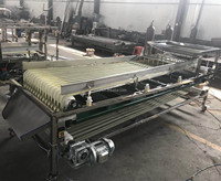 Machine de classement de Fruits rouges de Type piste multifonction commerciale à haute efficacité/trieur de cerises/équipement de tamisage des olives