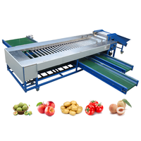 Rolsorteermachine Apple Mango Oranje Diverse Fruit Sorteermachine Fruit En Groente Verwerking Speciale Sorteermachine