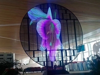 Écran LED transparent P3.91 en film cristallin pour magasins de détail, ascenseurs, signalisation et éducation
