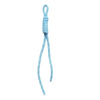 Stock usine – Nouveauté tendance : Porte-clés en corde 100 % polyester tressé à la main, accessoires colorés pour sac, pendentif mode