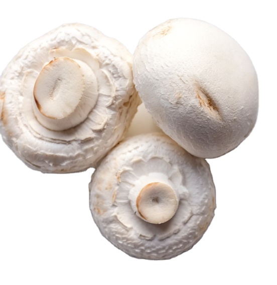 Пуговицы, грибы, целые пуговицы, консервированные грибы, белые, OEM, кислотный стиль, хранение, классные бренды, цветная упаковка, вес, сырье