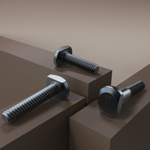 Baifite T-Bolt M12-M24 Acier au carbone Oxyde noir Qualité industrielle Fixation - Product Image 3