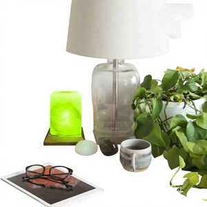 Lampe en sel rose de l'Himalaya 100% naturel de qualité supérieure pour la décoration intérieure, mini lampe USB en forme de feuille, attrape-rêves Feng Shui sculpté - Product Image 1