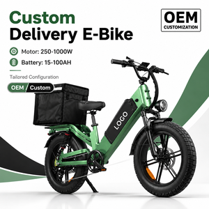 Vélo cargo électrique sur mesure OEM, autonomie 240 km, pneus larges 20 pouces, 48V 750W, cadre en aluminium, 7 vitesses - Product Image 1