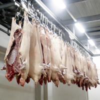 Ligne complète d'abattage de porcs, machine d'abattage automatique de porcs, équipement d'abattage de porcs