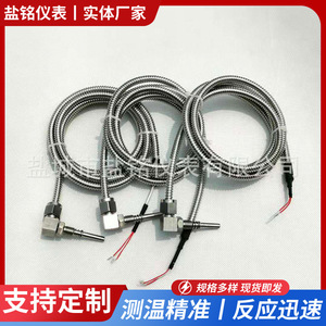 WZP-521SA Temperature Sensor Pt100 Wire Leads For Motor Bearing Measurement - Product Image 5
