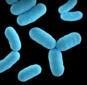 Extracto de Planta Fermentada JEJULOUS VIPA (Lactobacillus Ferment Eriobotrya Japonica) Cosmético Natural Líquido de la Isla de Jeju - Product Image 2