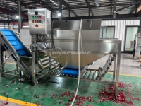 Automatische Fruitgroente Uienschil Snijmachine Kernmotor Plc Direct Geleverde Fabrikant