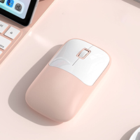 Souris sans fil silencieuse Ranguo avec logo personnalisé, design ergonomique, moderne, portable, emballée dans une boîte en plastique, récepteur USB 2.4G, pour bureau, PC, promotionnelle