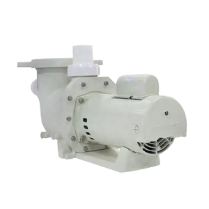 ปั๊ม CD สำหรับสระว่ายน้ำแบบแปรผันเม็ดมะยมไฟฟ้าพร้อมปั๊มน้ำแรงดันสูงอุปกรณ์เสริมสำหรับสระว่ายน้ำ - Product Image 1