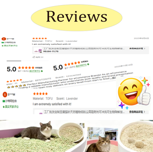 Lettiera per Gatti in Bentonite Ecologica Senza Polvere 10L Altamente Assorbente a Rapida Agglomerazione - Product Image 6