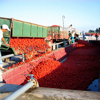 Volledige Automatische Tomatenpuree Making Machine Tomatenpuree Productielijn Tomaat Pulp Puree Machine