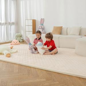 2026年 製品アップグレード版 超ソフトタッチ 新登場 肉厚ぬいぐるみ 畳ラグカーペット 無毒性 ベビープレイマット 形状記憶フォーム 赤ちゃん用ハイハイマット - Product Image 1
