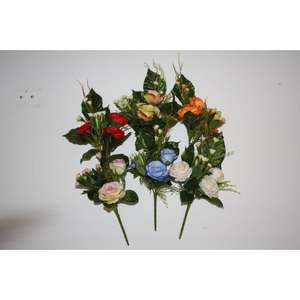 Mini Rosa Frontale - Product Image 1