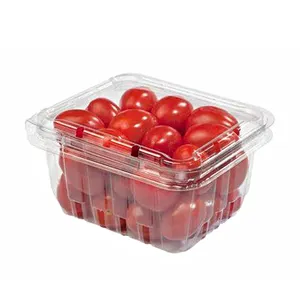 Großhandel Einweg-Kunststoff verpackung klare Box Kirsch tomaten Verpackung Box Clam shell Lebensmittel behälter