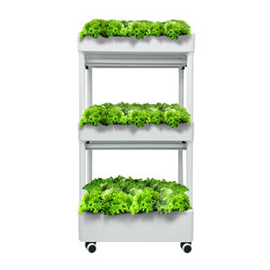 Estante para Macetas de 1-4 Niveles, Soporte para Plantas, Estante de ABS para Viveros, Invernaderos y Cultivo en Jardín, ODM - Product Image 3