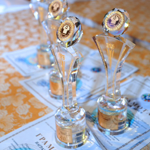 K9 Cheap Crystal First Communion Souvenirs Diamond Trophy for <strong>Appreciation</strong> Awards - Product Image 6