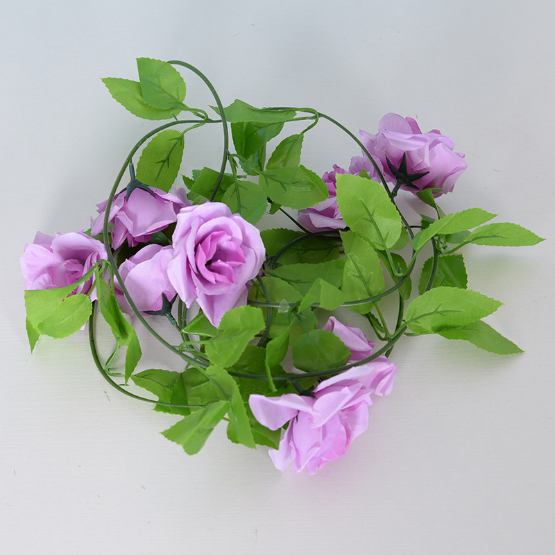 Rose violette à 9 têtes