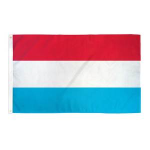 Ukraine Cờ Tất Cả Các Quốc Gia Khác Nhau Cờ Chuyên Nghiệp Nhà Máy Màn Hình Lụa In Tùy Chỉnh Màu Sắc Bền Polyester Quốc Gia Cờ - Product Image 6