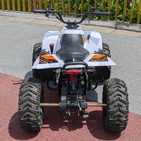 Quad mini tout-terrain 150CC/200CC/250CC pour enfants, en acier inoxydable, transmission par chaîne ABS