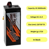 Batterie de vol intelligente rechargeable de qualité professionnelle pour drone télécommandé T-DRONES 6S 36000mAh
