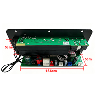 D10C 30W Şarj Edilebilir HiFi Amplifikatör Kartı, Ev KTV'si için Karaoke Mikrofonlu USB TF Uzaktan Kumandalı