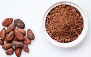 Polvo de cacao holandés con reducción de grasa <span class=keywords><strong>alcalinizado</strong></span> con ingredientes de 10-12% de contenido de grasa Tipo de producto - Product Image 5