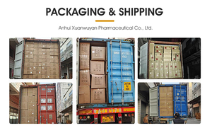 Desintoxicación y Adelgazamiento en un Solo Paso, Parche <span class=keywords><strong>de</strong></span> Gel para Pies que te Hace Más Ligero Cada Día - Product Image 5